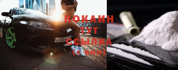индика Лихославль