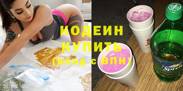 индика Лихославль