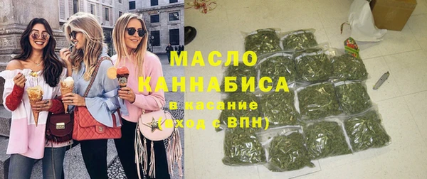 индика Лихославль